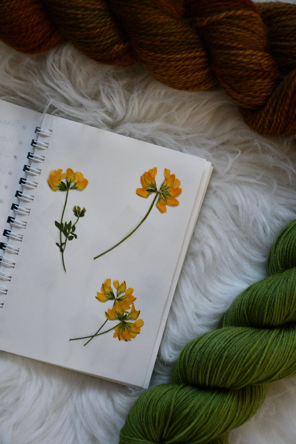 Foraging Journal
