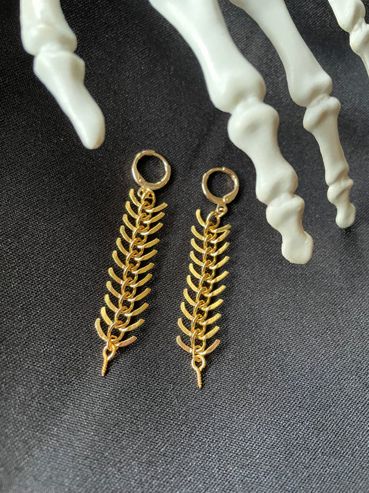 Spine