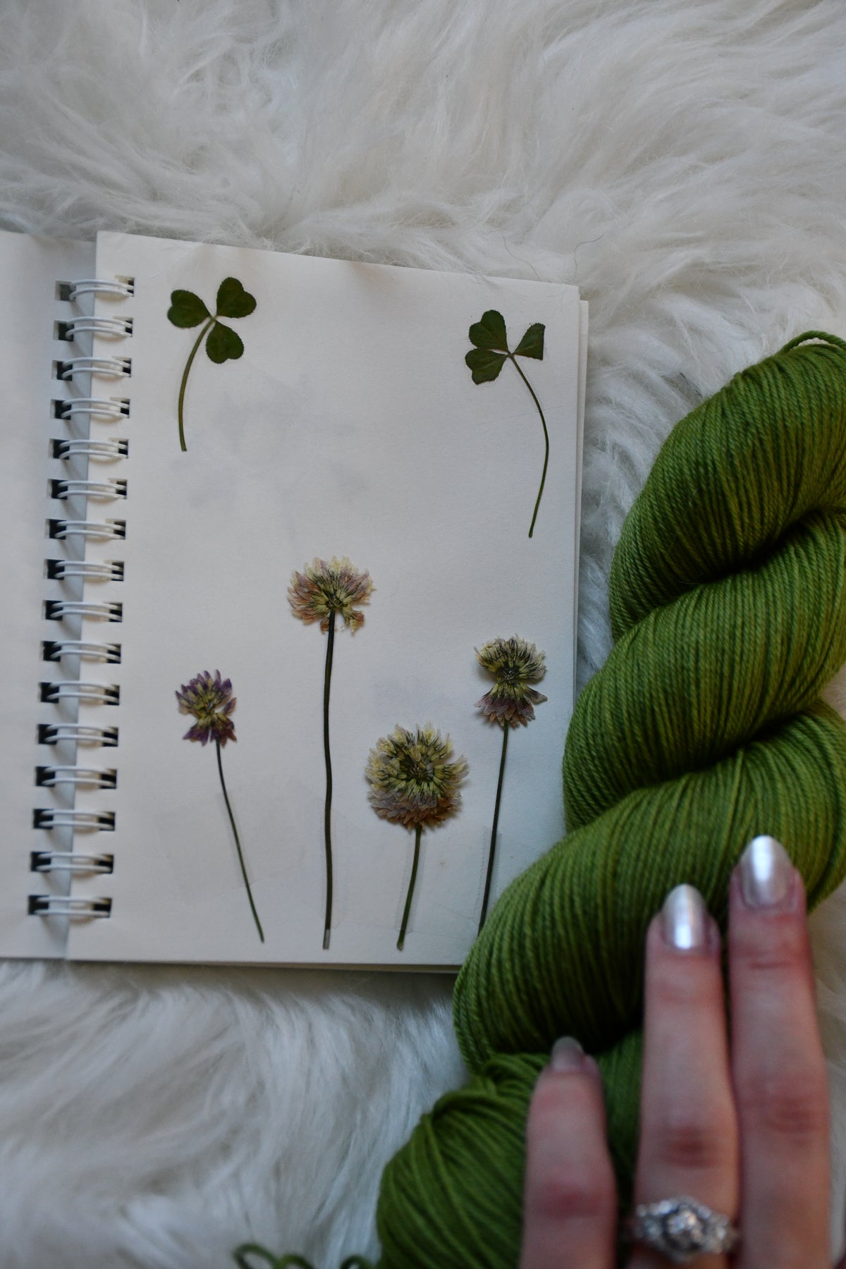 Foraging Journal