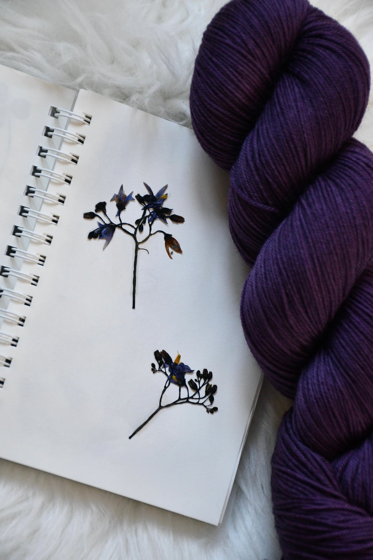 Foraging Journal
