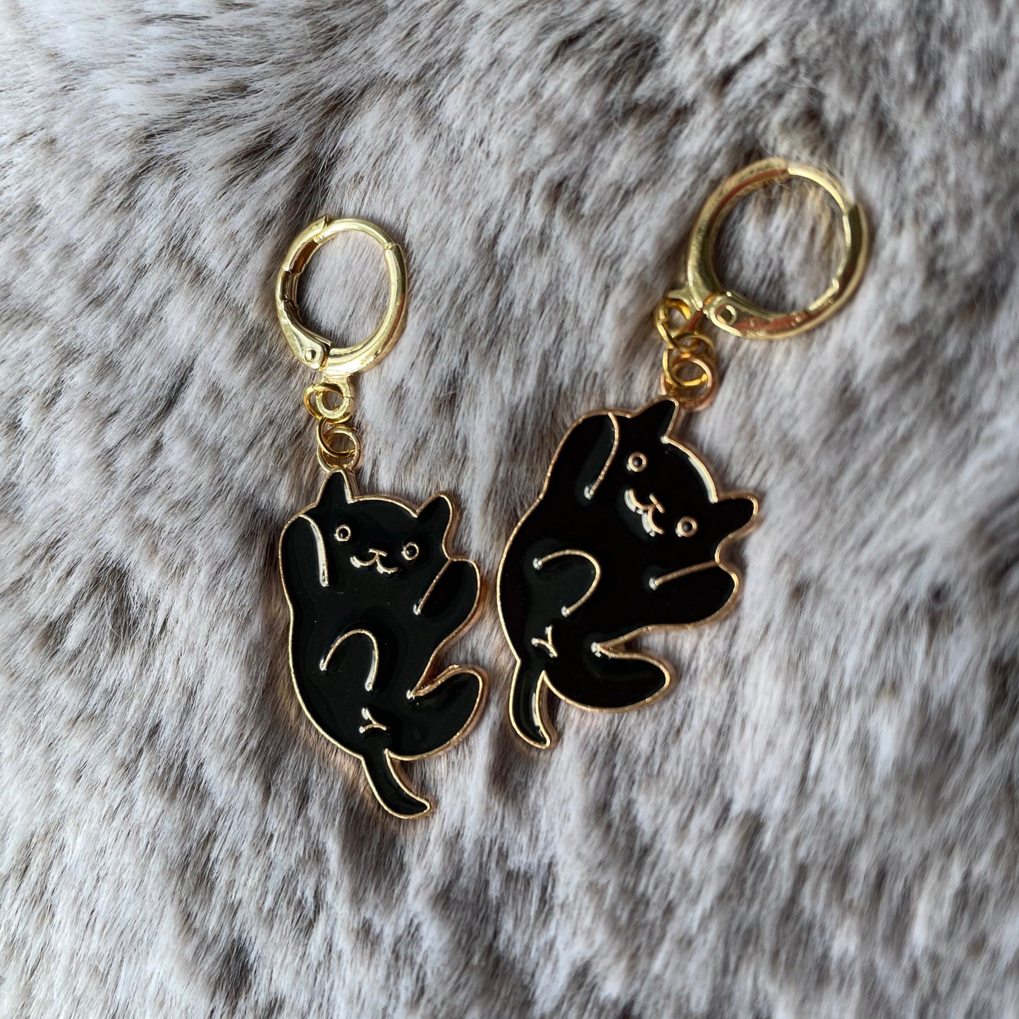 Cats ( ^ω^ )