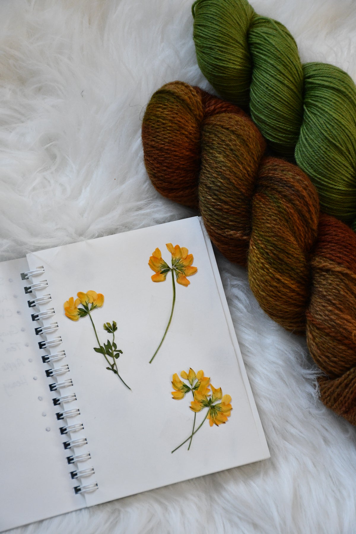 Foraging Journal