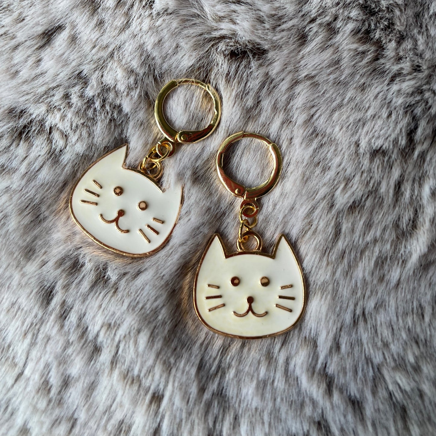 Cats ( ^ω^ )